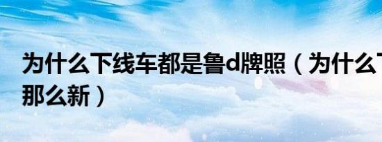 为什么下线车都是鲁d牌照（为什么下线车都那么新）