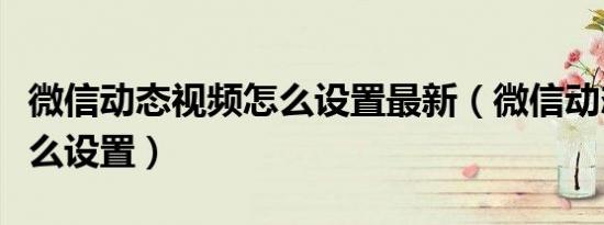 微信动态视频怎么设置最新（微信动态视频怎么设置）