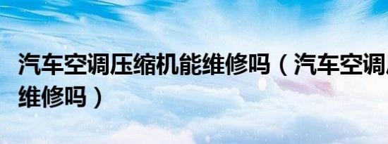 汽车空调压缩机能维修吗（汽车空调压缩机能维修吗）