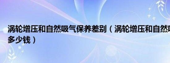 涡轮增压和自然吸气保养差别（涡轮增压和自然吸气保养差多少钱）