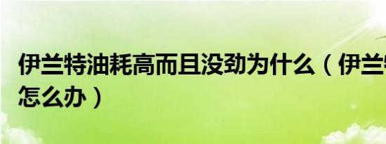 伊兰特油耗高而且没劲为什么（伊兰特油耗高怎么办）