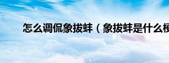 怎么调侃象拔蚌（象拔蚌是什么梗）