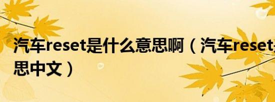汽车reset是什么意思啊（汽车reset是什么意思中文）
