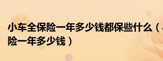 小车全保险一年多少钱都保些什么（小车全保险一年多少钱）