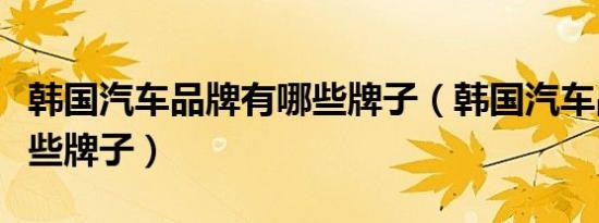 韩国汽车品牌有哪些牌子（韩国汽车品牌有哪些牌子）