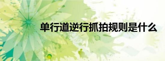 单行道逆行抓拍规则是什么