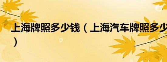 上海牌照多少钱（上海汽车牌照多少钱一个?）