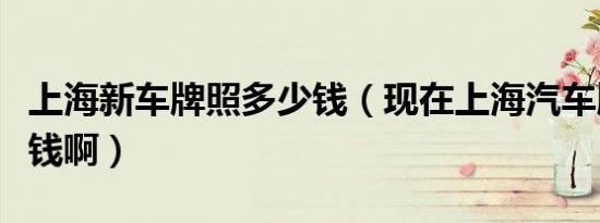 上海新车牌照多少钱（现在上海汽车牌照多少钱啊）