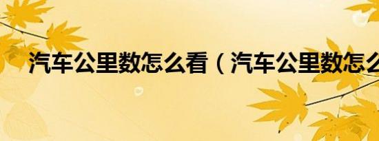汽车公里数怎么看（汽车公里数怎么看）