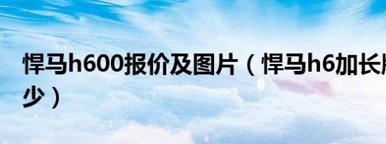 悍马h600报价及图片（悍马h6加长版价格多少）