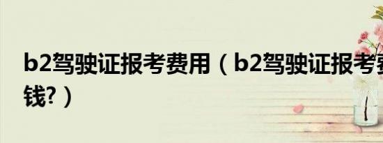 b2驾驶证报考费用（b2驾驶证报考费用多少钱?）