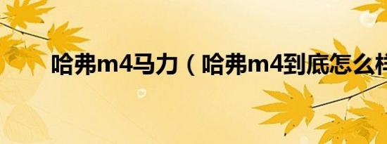 哈弗m4马力（哈弗m4到底怎么样）