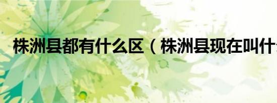 株洲县都有什么区（株洲县现在叫什么区）