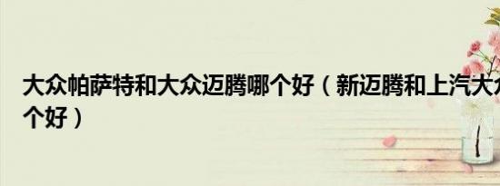 大众帕萨特和大众迈腾哪个好（新迈腾和上汽大众帕萨特哪个好）