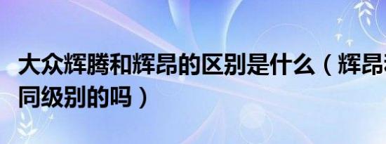 大众辉腾和辉昂的区别是什么（辉昂和辉腾是同级别的吗）