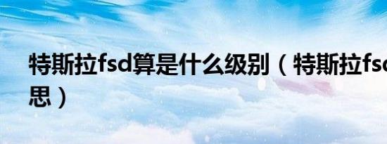 特斯拉fsd算是什么级别（特斯拉fsd什么意思）