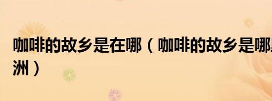 咖啡的故乡是在哪（咖啡的故乡是哪里在哪个洲）