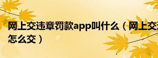 网上交违章罚款app叫什么（网上交违章罚款怎么交）