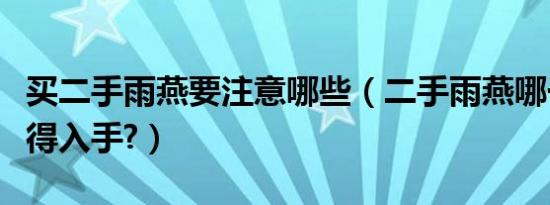 买二手雨燕要注意哪些（二手雨燕哪一款最值得入手?）