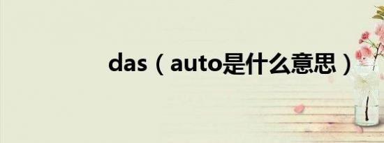 das（auto是什么意思）