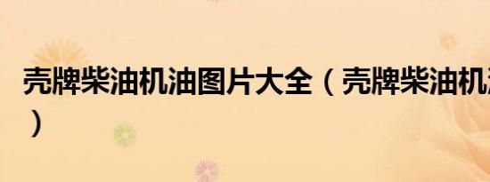 壳牌柴油机油图片大全（壳牌柴油机油级别是）