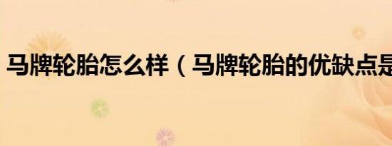 马牌轮胎怎么样（马牌轮胎的优缺点是什么）