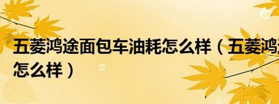 五菱鸿途面包车油耗怎么样（五菱鸿途面包车怎么样）