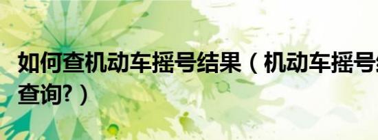 如何查机动车摇号结果（机动车摇号结果怎么查询?）