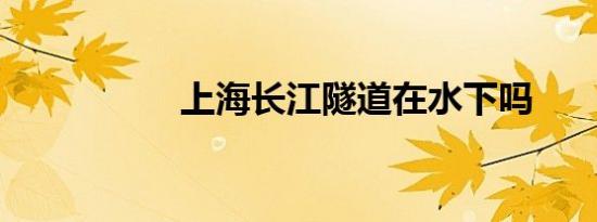 上海长江隧道在水下吗