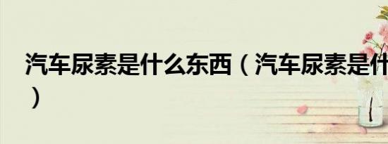 汽车尿素是什么东西（汽车尿素是什么东西?）