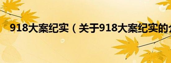 918大案纪实（关于918大案纪实的介绍）