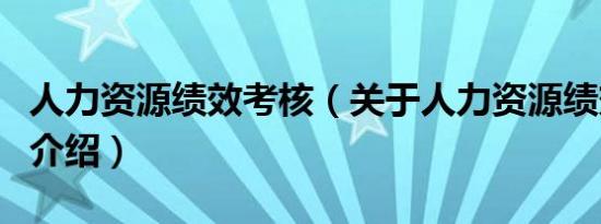 人力资源绩效考核（关于人力资源绩效考核的介绍）