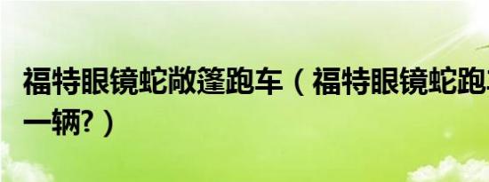 福特眼镜蛇敞篷跑车（福特眼镜蛇跑车多少钱一辆?）