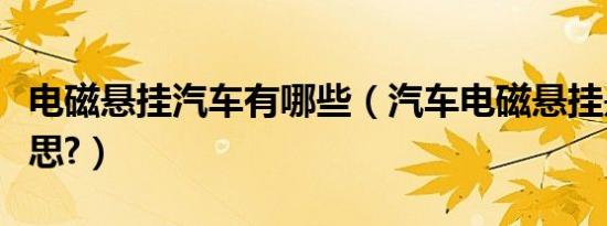 电磁悬挂汽车有哪些（汽车电磁悬挂是什么意思?）