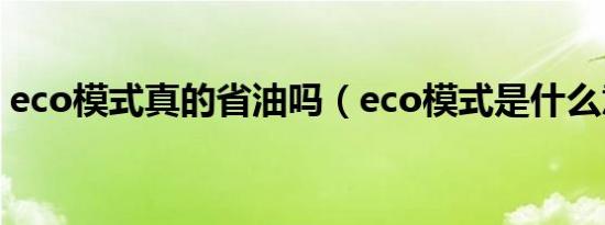eco模式真的省油吗（eco模式是什么意思?）
