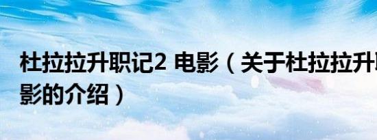 杜拉拉升职记2 电影（关于杜拉拉升职记2 电影的介绍）