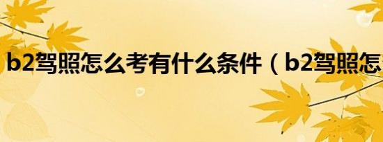 b2驾照怎么考有什么条件（b2驾照怎么考?）