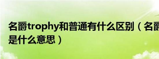 名爵trophy和普通有什么区别（名爵trophy是什么意思）