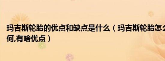 玛吉斯轮胎的优点和缺点是什么（玛吉斯轮胎怎么样,质量如何,有啥优点）
