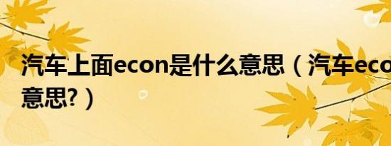 汽车上面econ是什么意思（汽车econ是什么意思?）