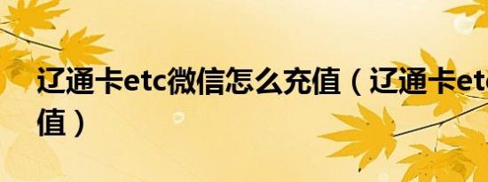 辽通卡etc微信怎么充值（辽通卡etc怎么充值）