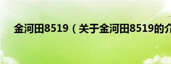 金河田8519（关于金河田8519的介绍）