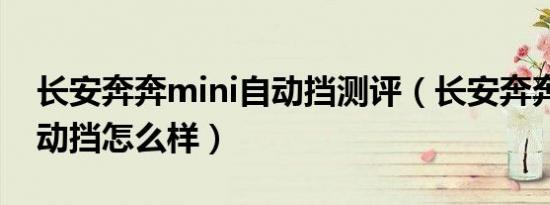 长安奔奔mini自动挡测评（长安奔奔mini自动挡怎么样）