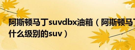 阿斯顿马丁suvdbx油箱（阿斯顿马丁dbx是什么级别的suv）