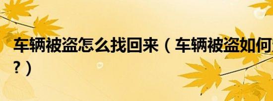 车辆被盗怎么找回来（车辆被盗如何定位找回?）
