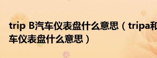 trip B汽车仪表盘什么意思（tripa和tripb汽车仪表盘什么意思）