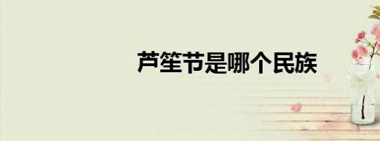 芦笙节是哪个民族