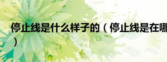 停止线是什么样子的（停止线是在哪里的呢?）
