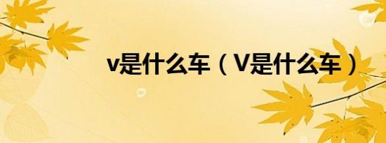 v是什么车（V是什么车）