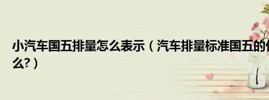小汽车国五排量怎么表示（汽车排量标准国五的代号是是什么?）